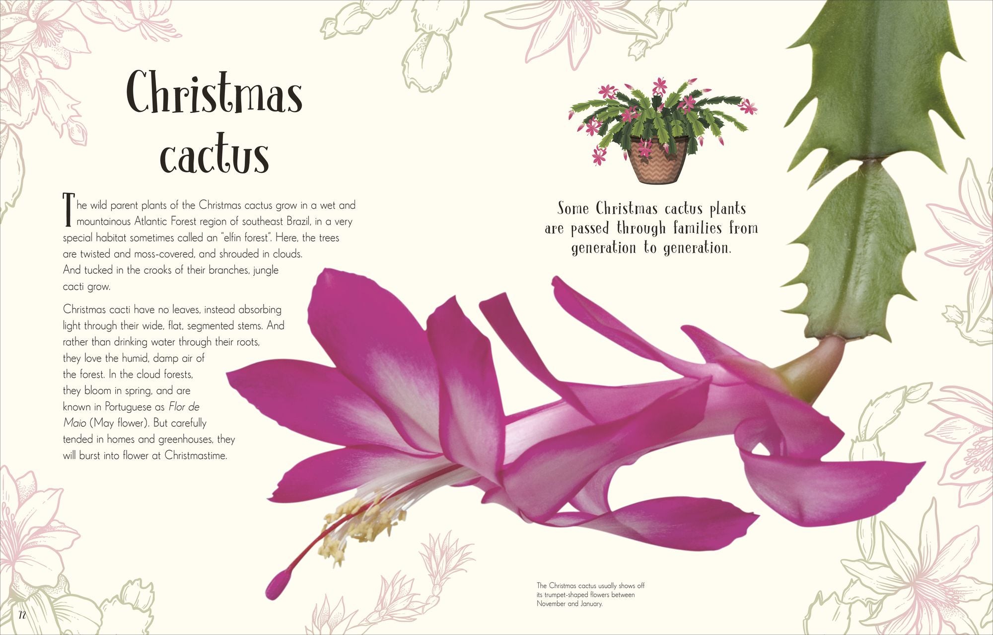 An Anthology of Christmas