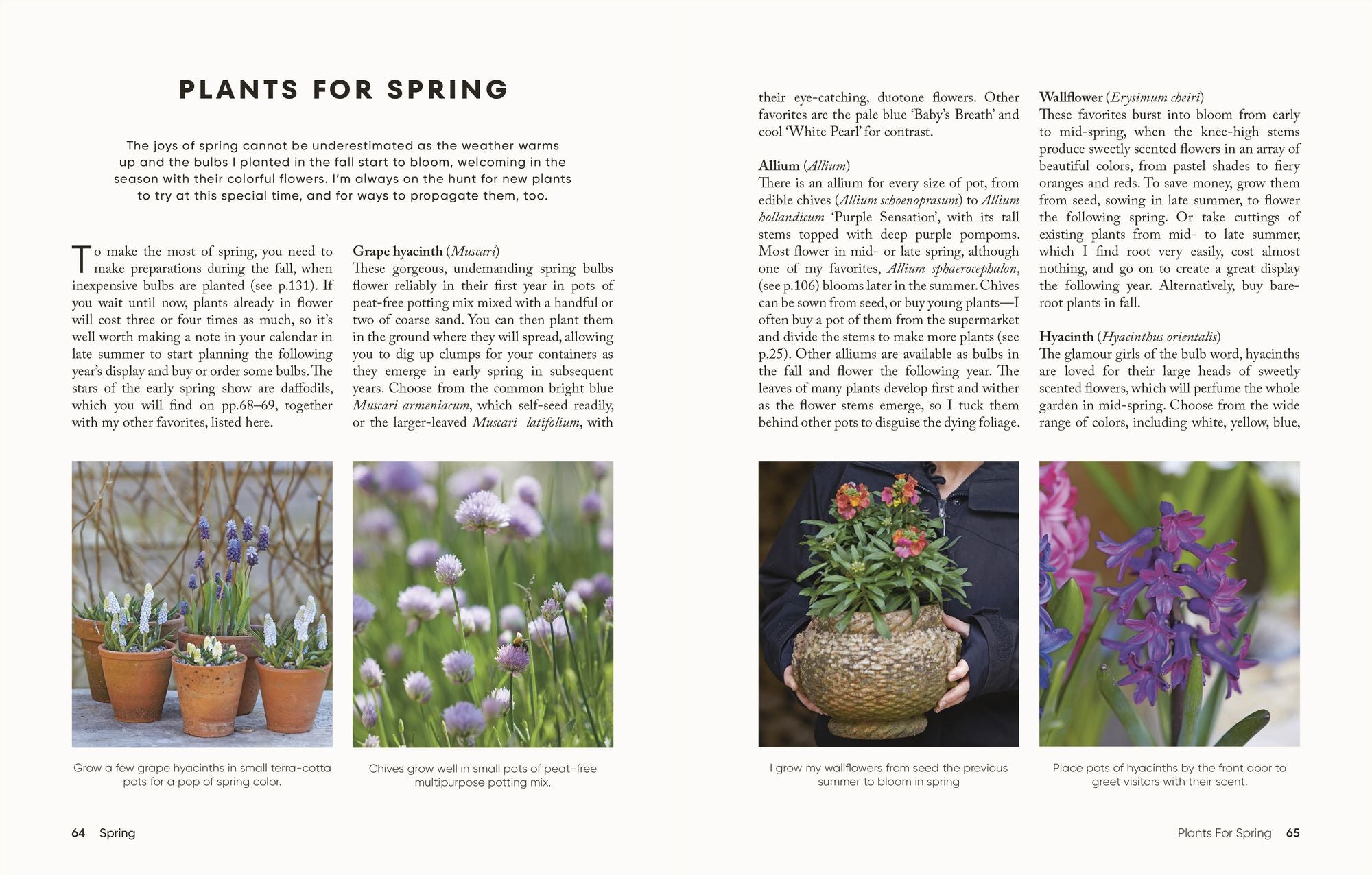 The Money-Saving Gardener Containers: How to Create a Year-round Container Garden for Less