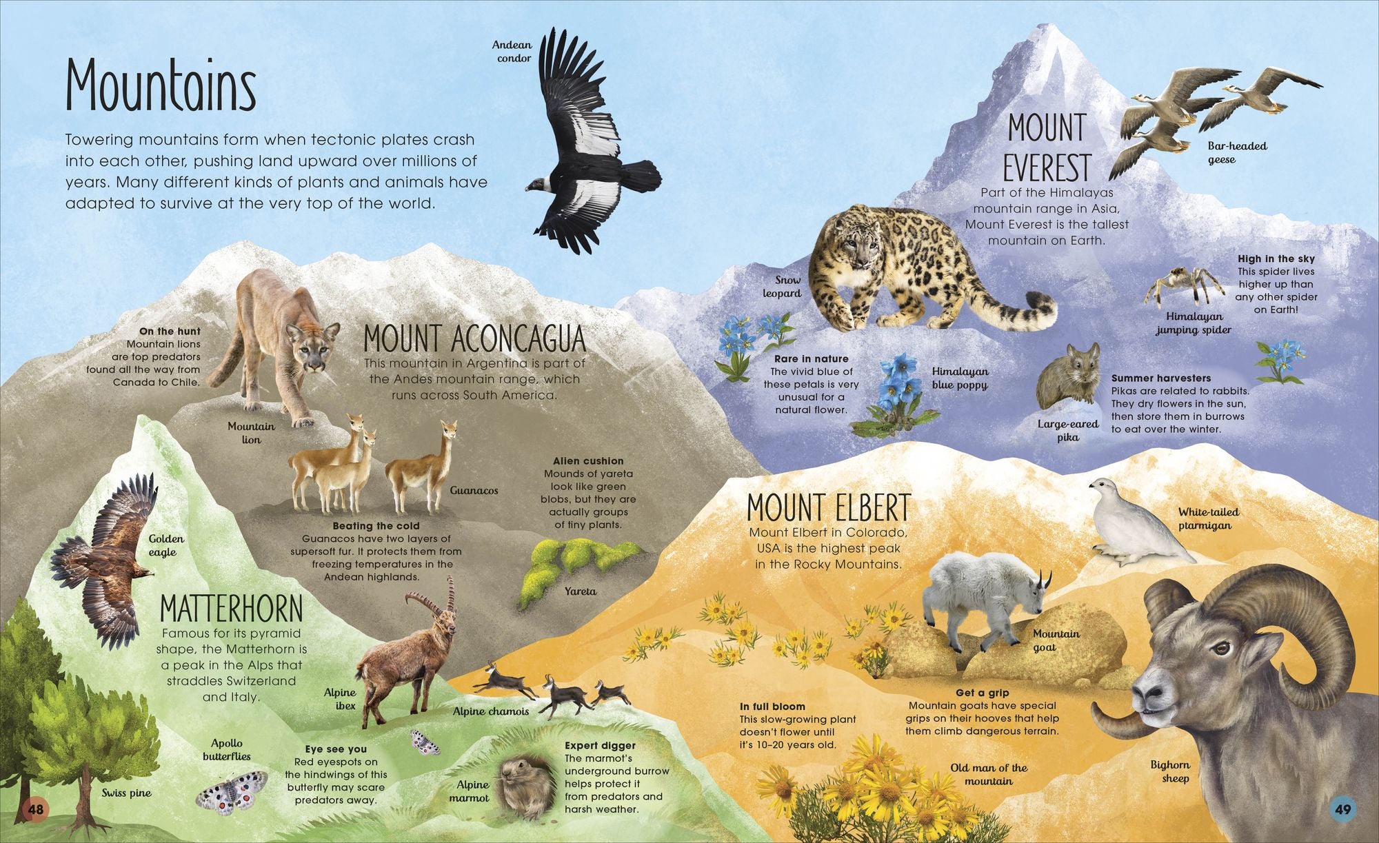 The Magic and Mystery of Earth: Explore the Incredible Place We Call Home