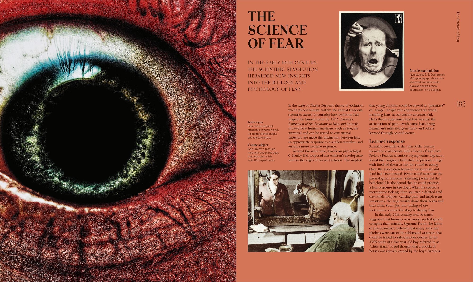 A History of Horror, Fear, and the Uncanny