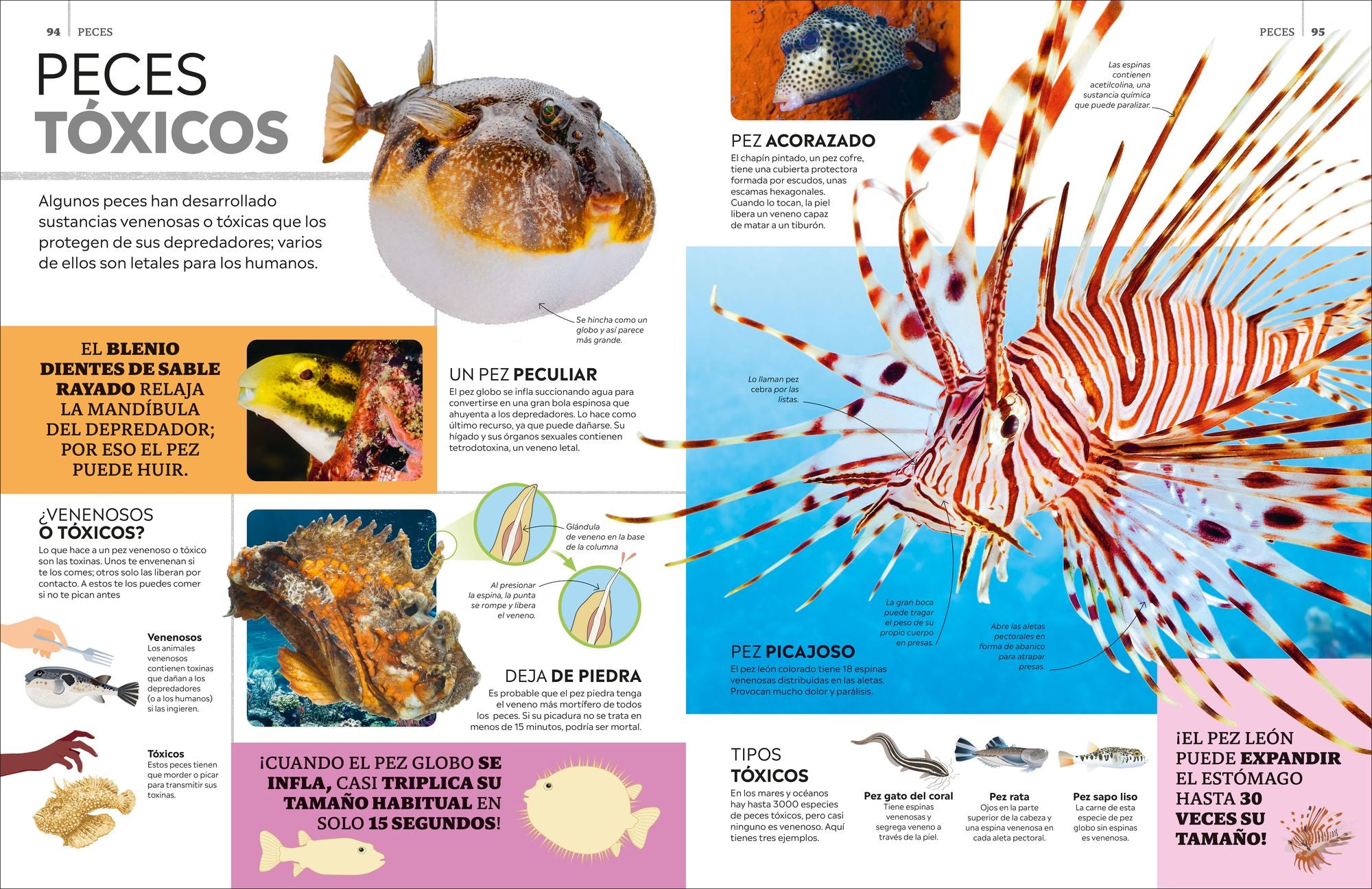 Eyewitness La enciclopedia de animales (en español)