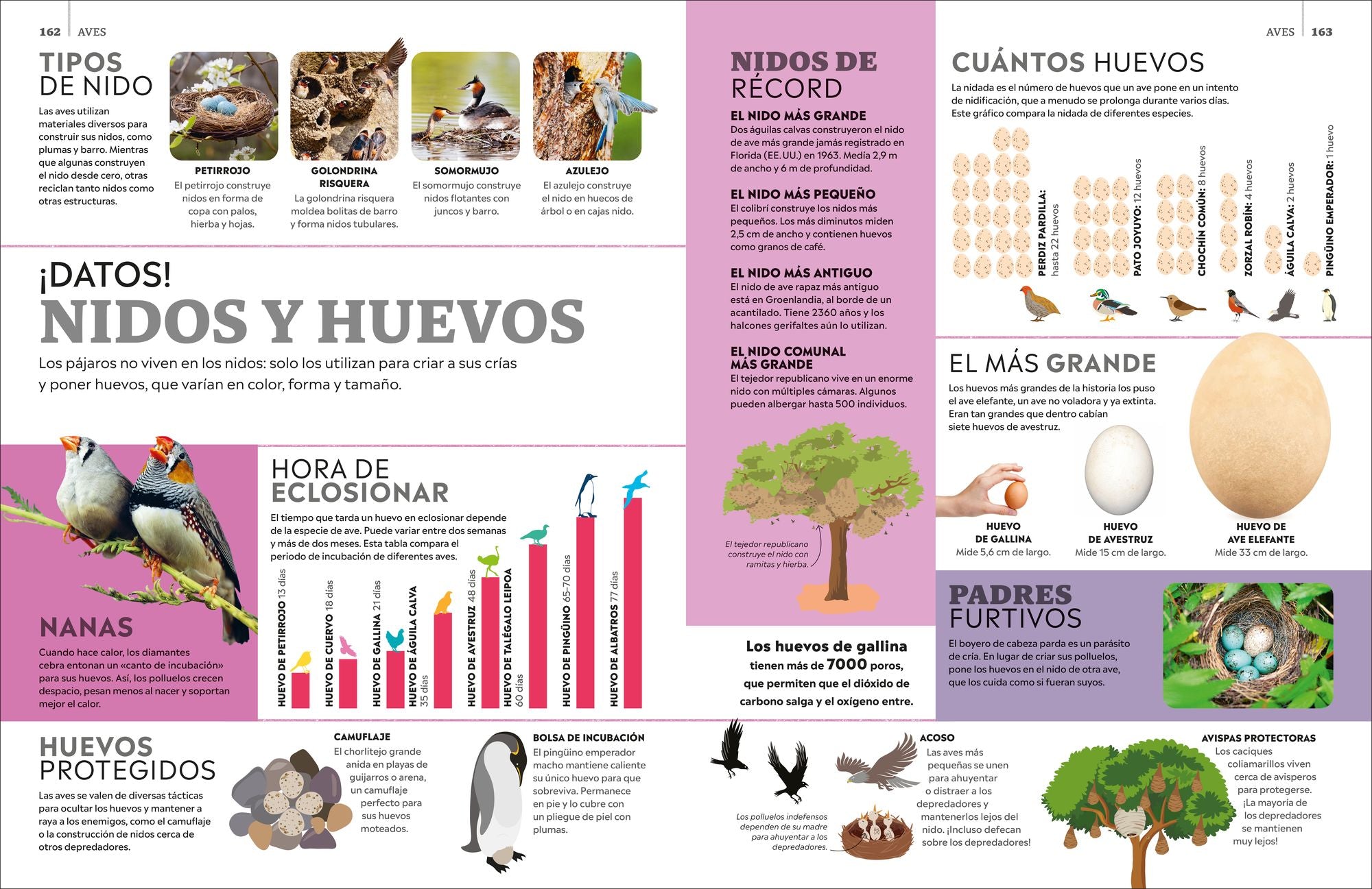 Eyewitness La enciclopedia de animales (en español)
