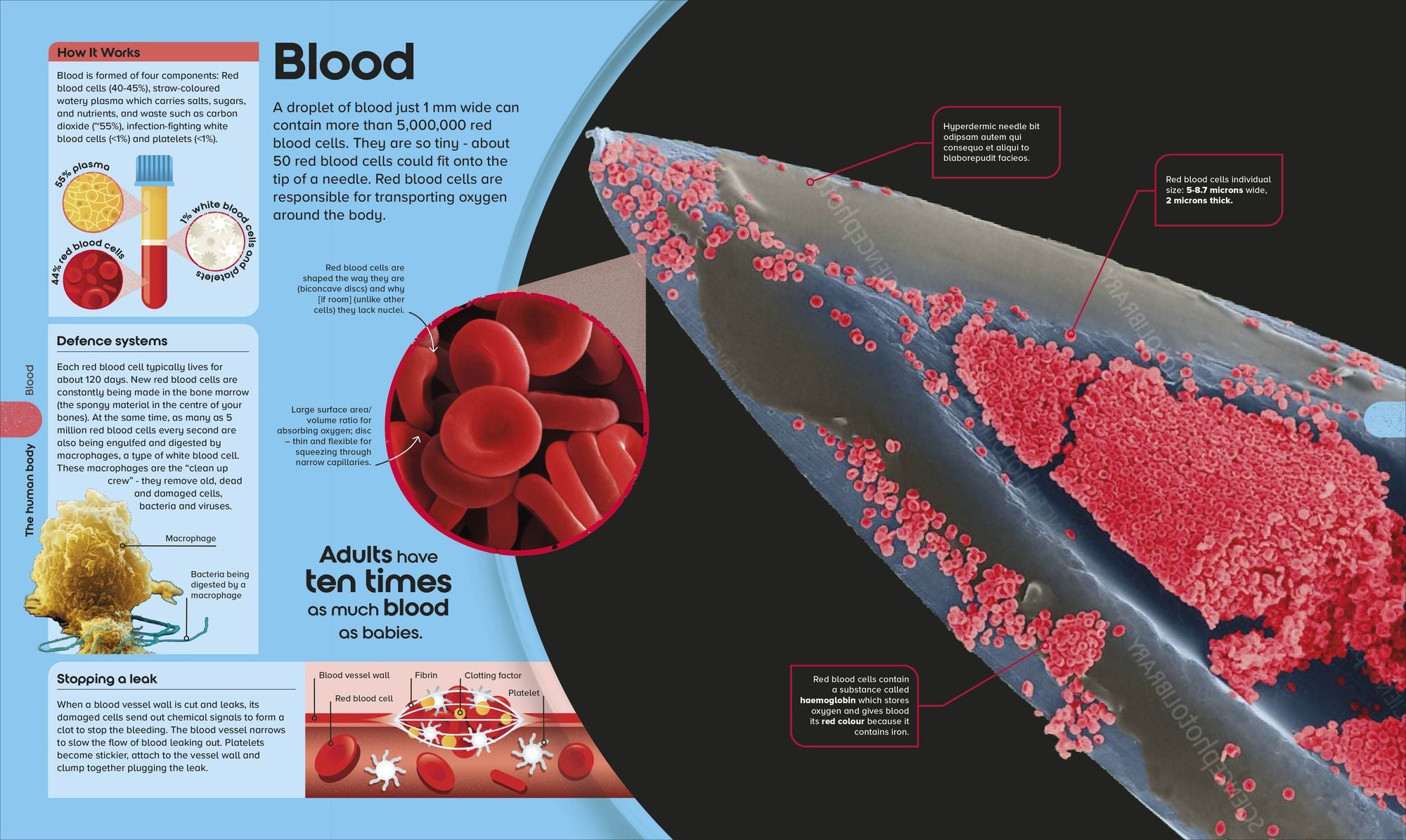 The Miniverse: Discover an Astonishing World Under the Microscope