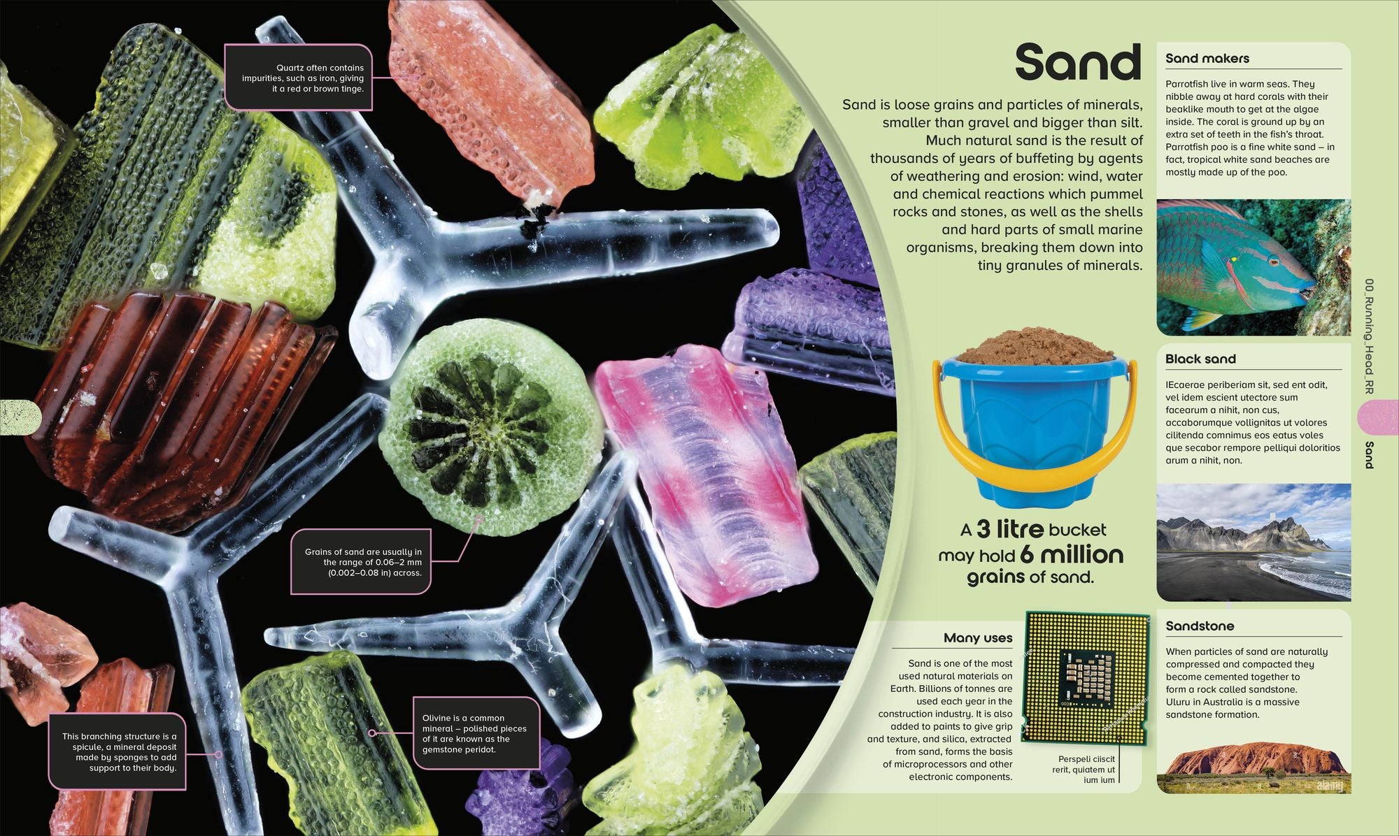 The Miniverse: Discover an Astonishing World Under the Microscope