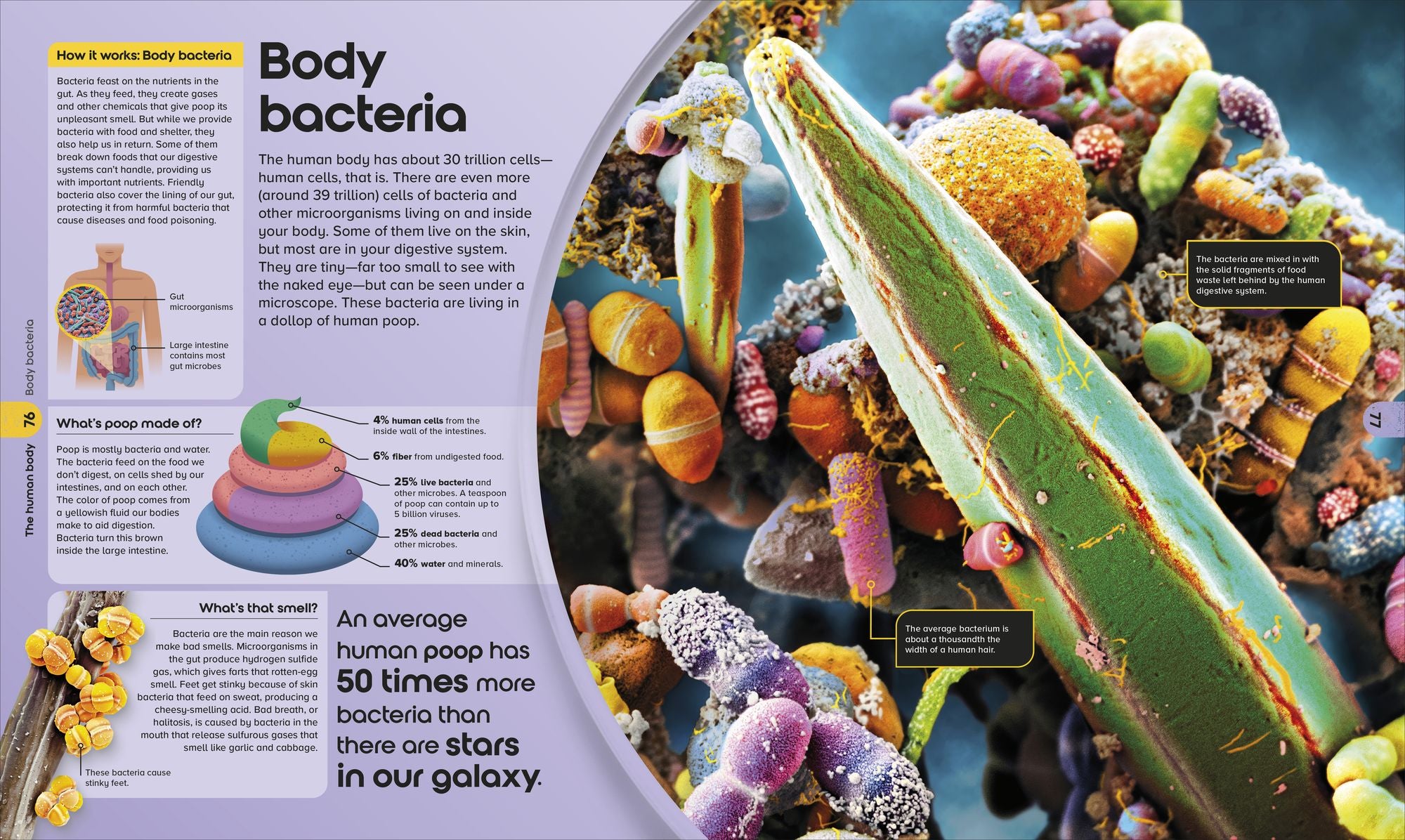 The Miniverse: Discover an Astonishing World Under the Microscope