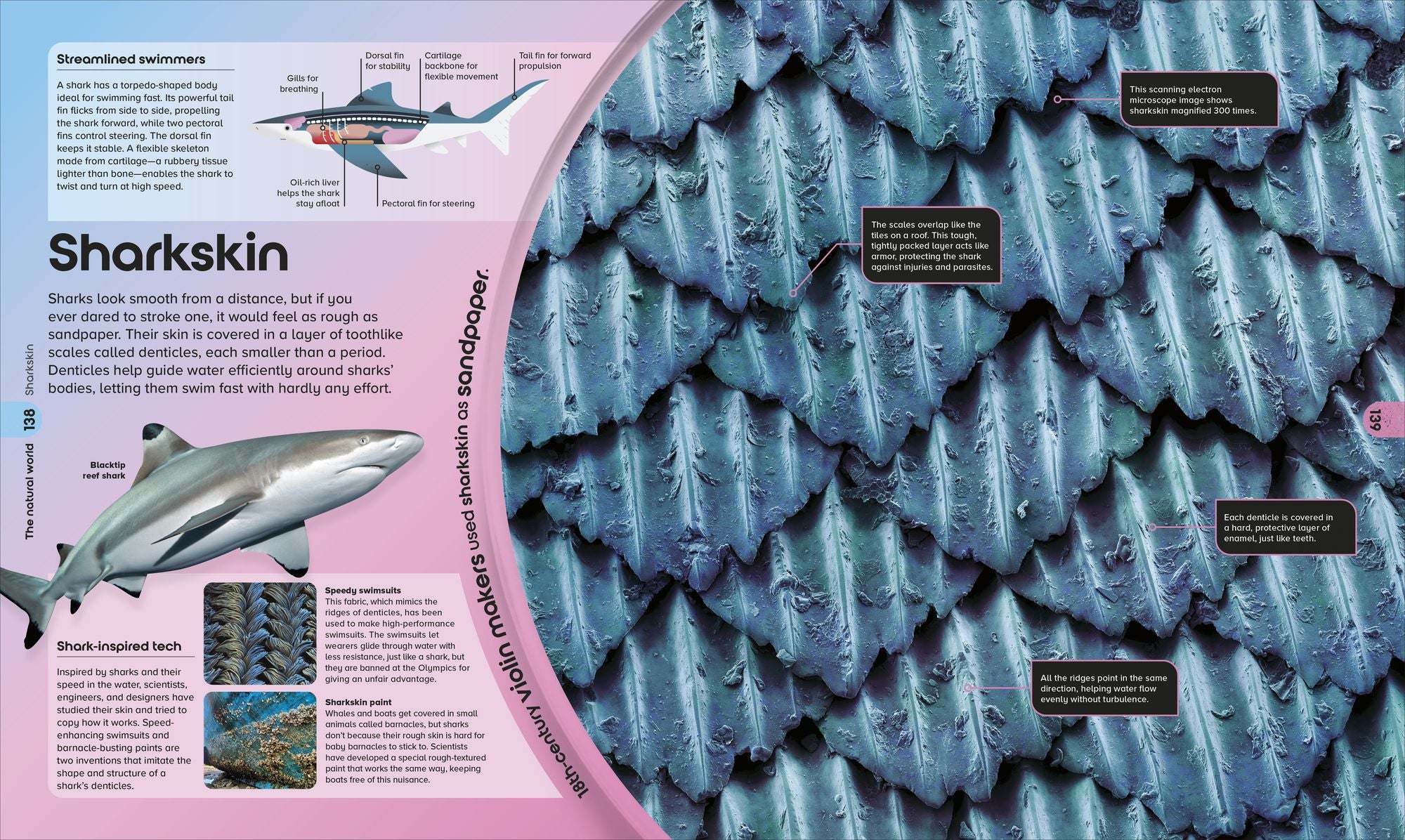 The Miniverse: Discover an Astonishing World Under the Microscope