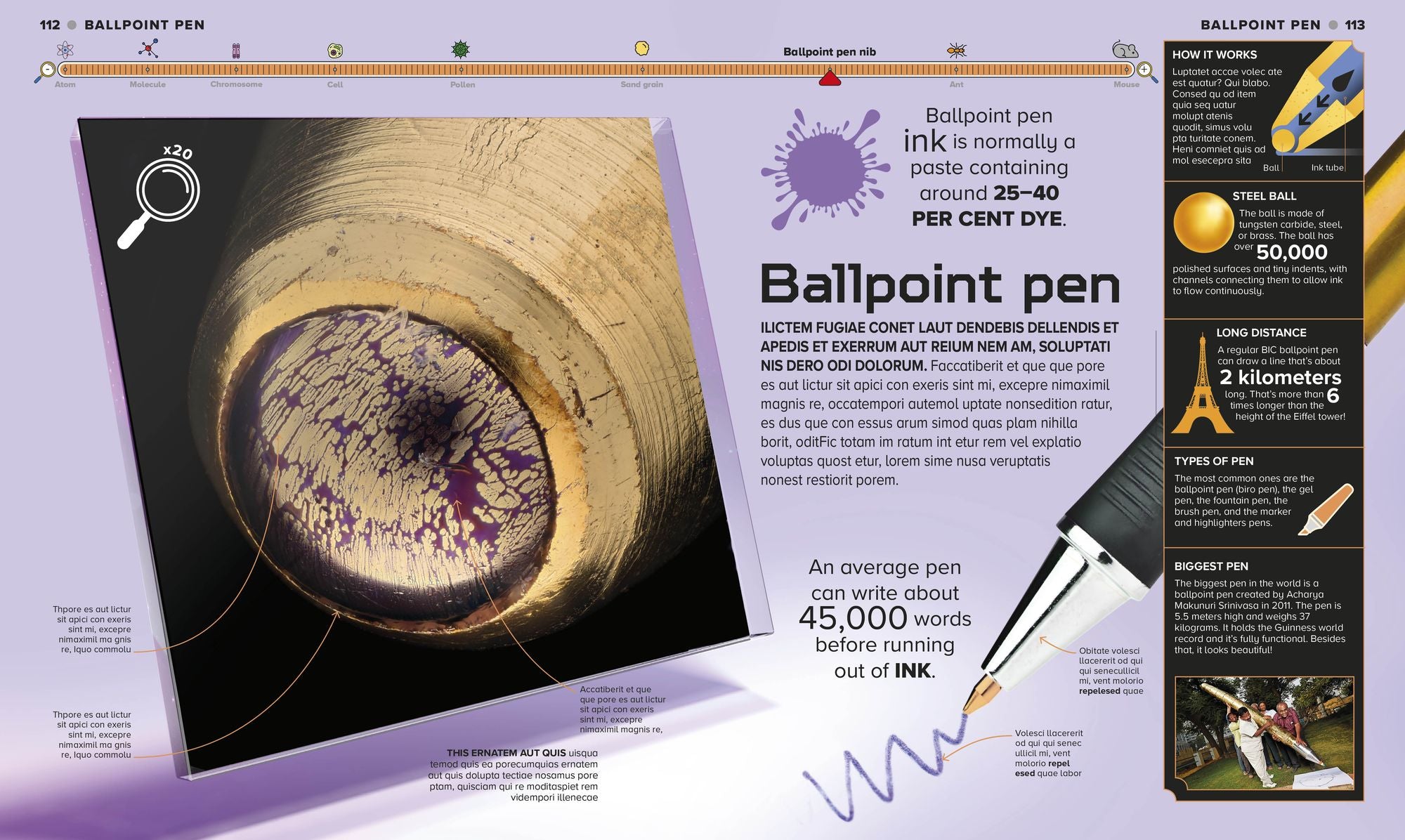 The Miniverse: Discover an Astonishing World Under the Microscope