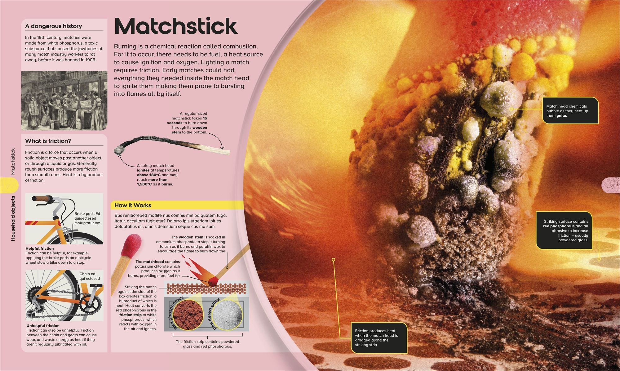 The Miniverse: Discover an Astonishing World Under the Microscope