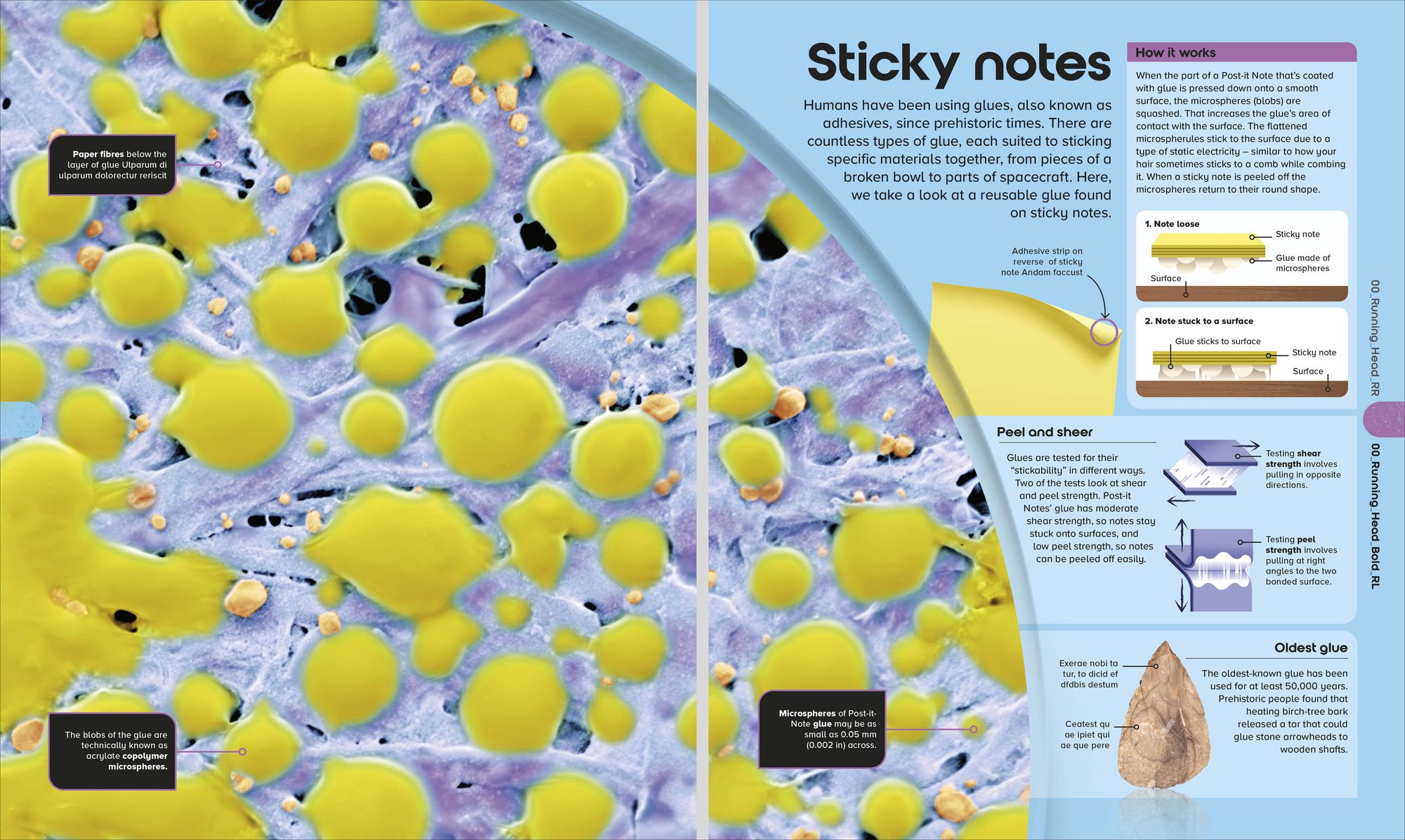 The Miniverse: Discover an Astonishing World Under the Microscope