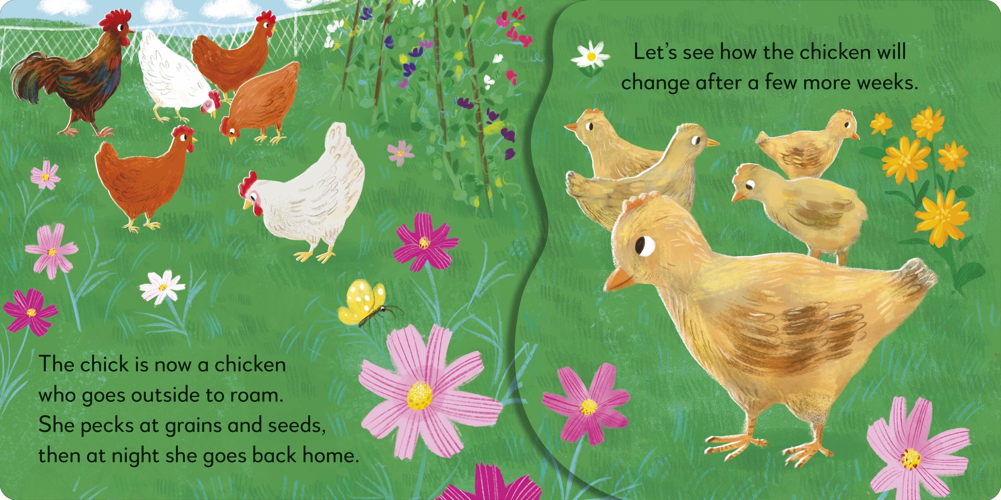Pop-up Peekaboo! Chick: A Farmyard Surprise Under Every Flap!