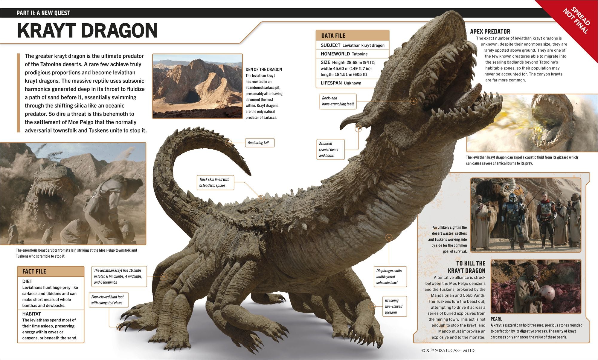 Star Wars The Mandalorian Visual Guide