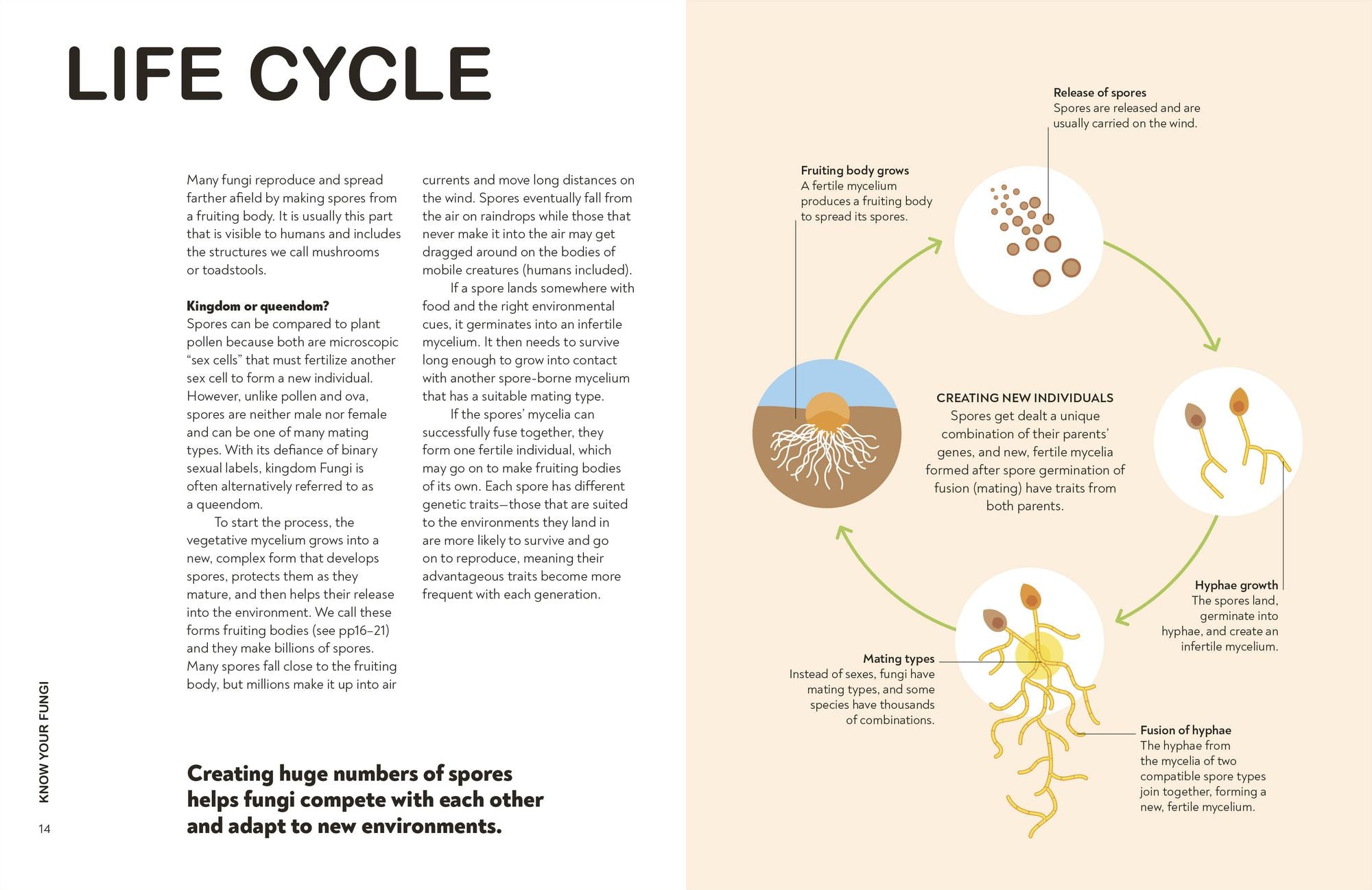 Fungi for Gardeners: Know Your Garden Fungi and How to Grow Them