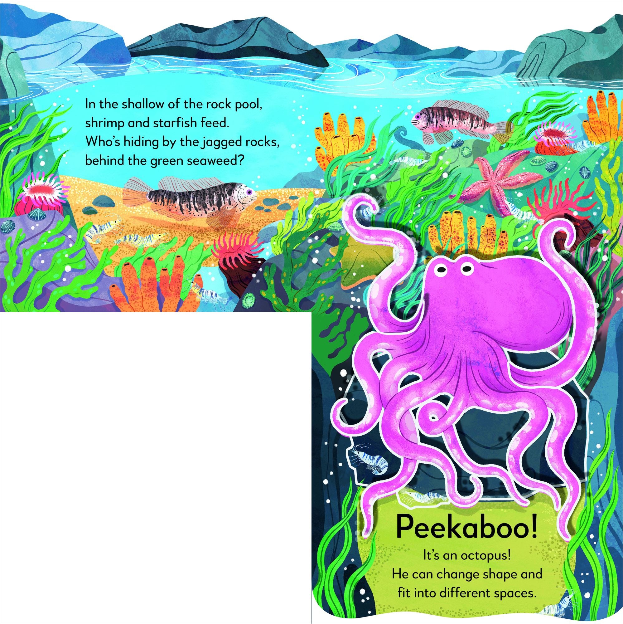 Pop-Up Peekaboo! Seashore: A Beachy Surprise Under Every Flap!