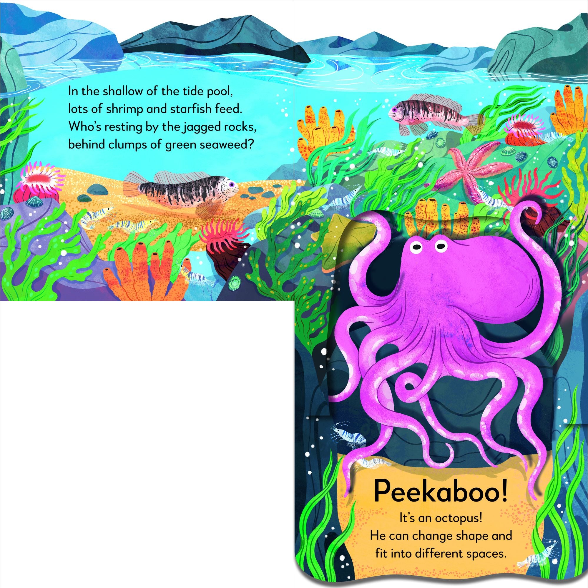 Pop-Up Peekaboo! Seashore: A Beachy Surprise Under Every Flap!