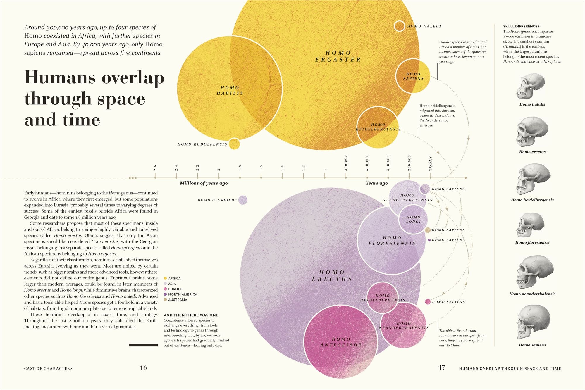 Humans: The Evolution of a Species