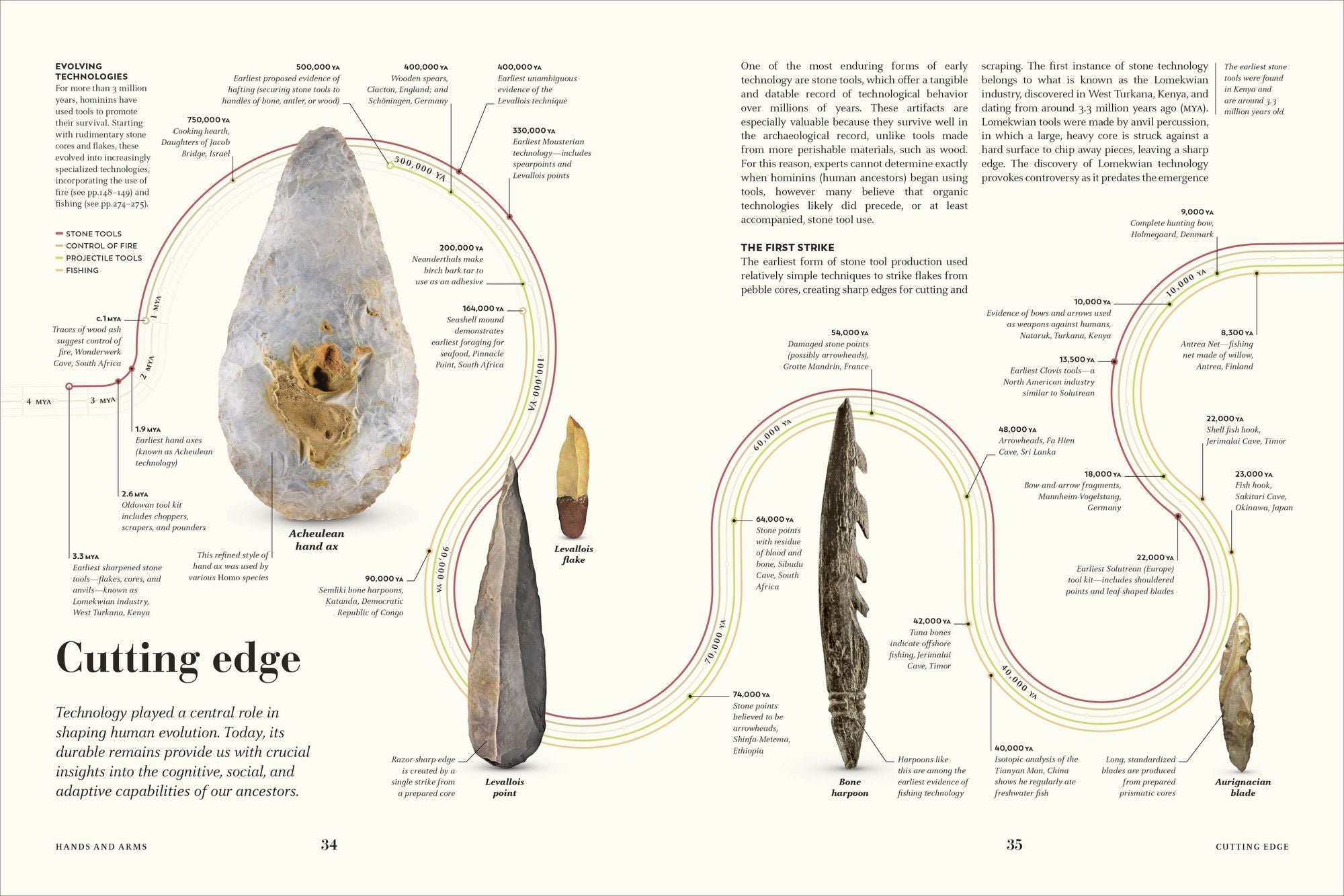 Humans: The Evolution of a Species