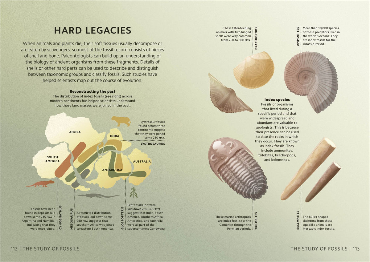 Simply Geology: Facts Made Fast