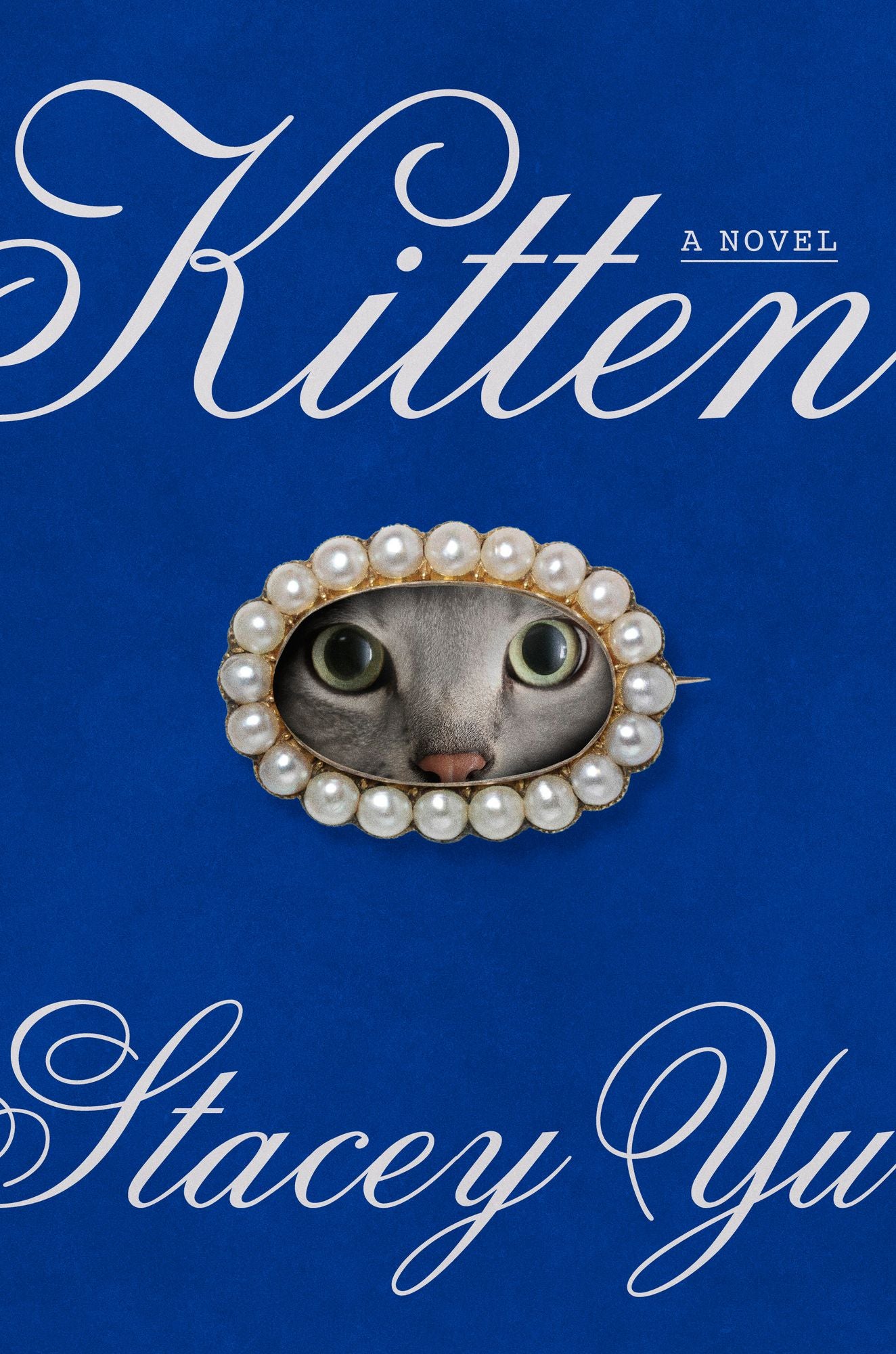 Kitten: A Novel