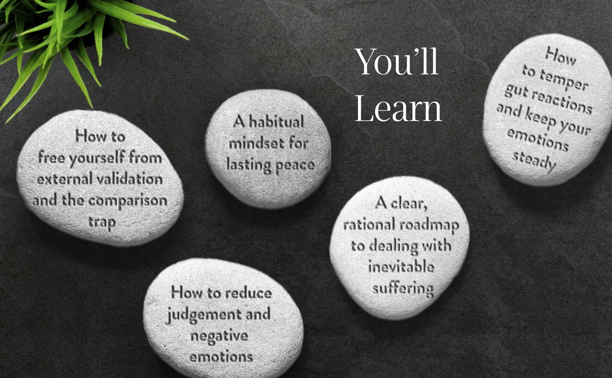 The Practice of Not Reacting: Zen Wisdom for a Happy Life
