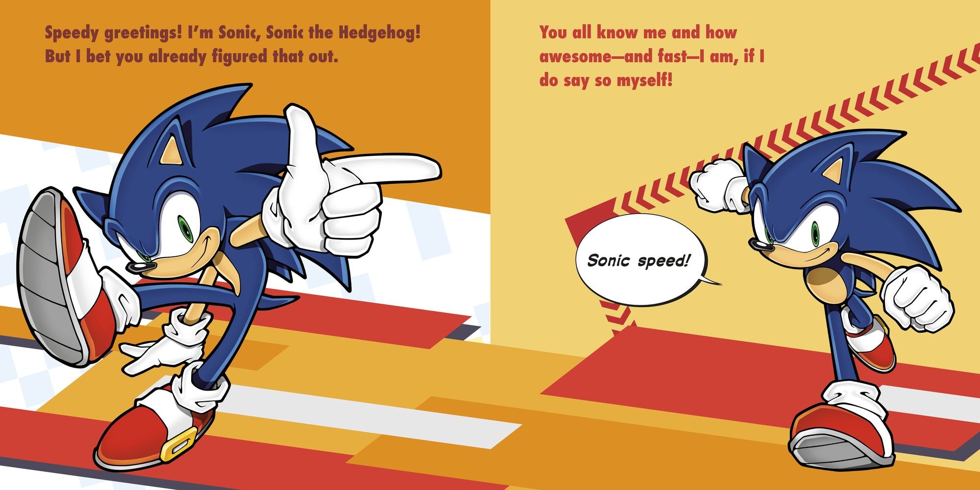 Meet Sonic's Friends!: A Sonic the Hedgehog Storybook