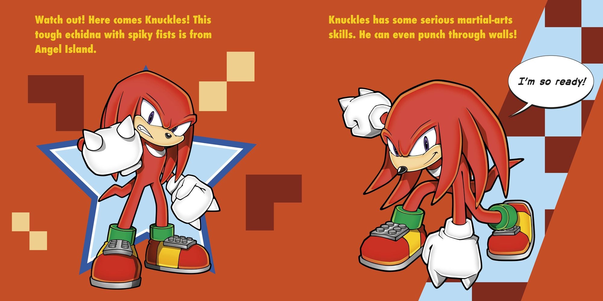 Meet Sonic's Friends!: A Sonic the Hedgehog Storybook