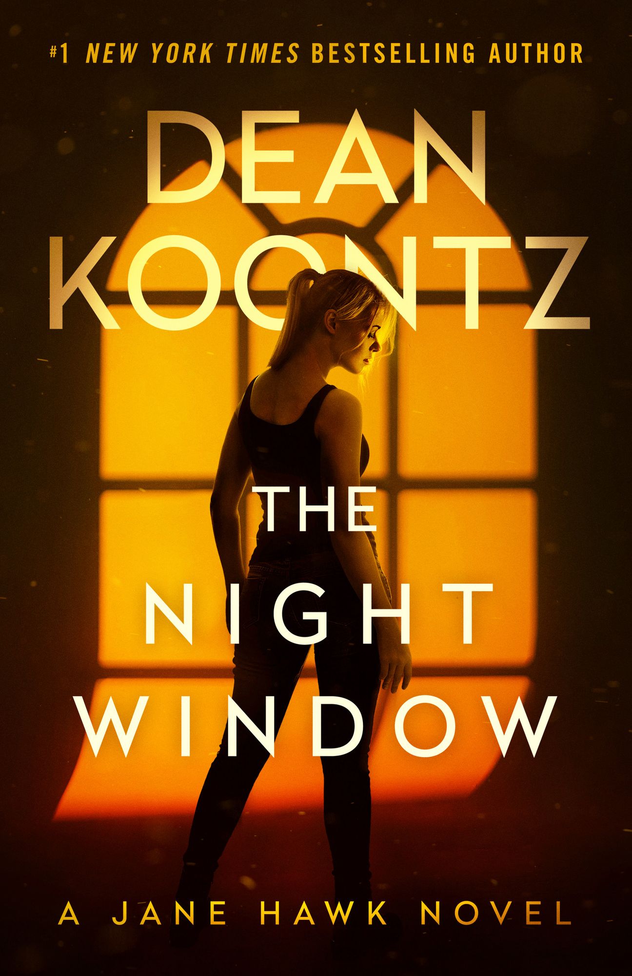 The Night Window (Jane Hawk Series #5)