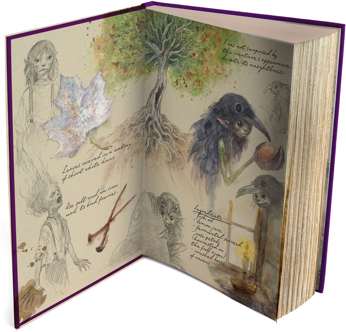 Emily Wilde's Encyclopaedia of Faeries (Deluxe Edition)