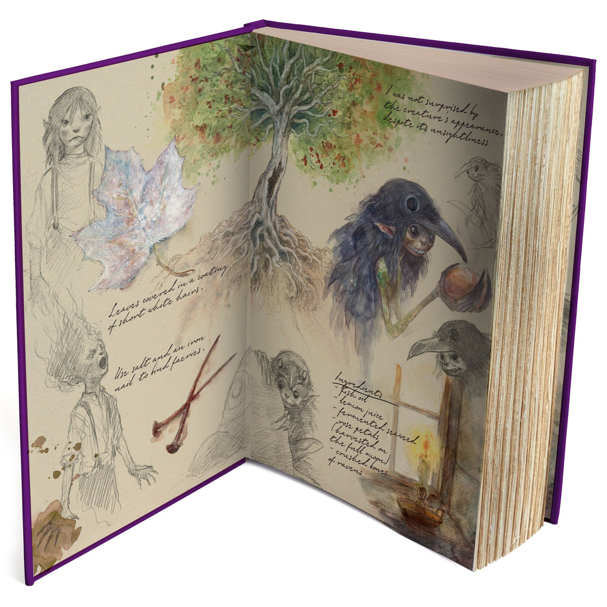 Emily Wilde's Encyclopaedia of Faeries (Deluxe Edition)