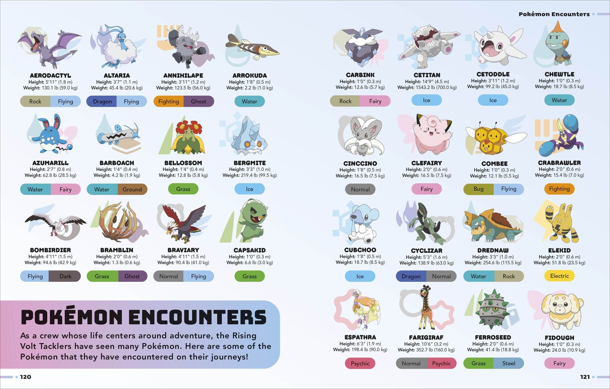 Pokémon Horizons Visual Companion