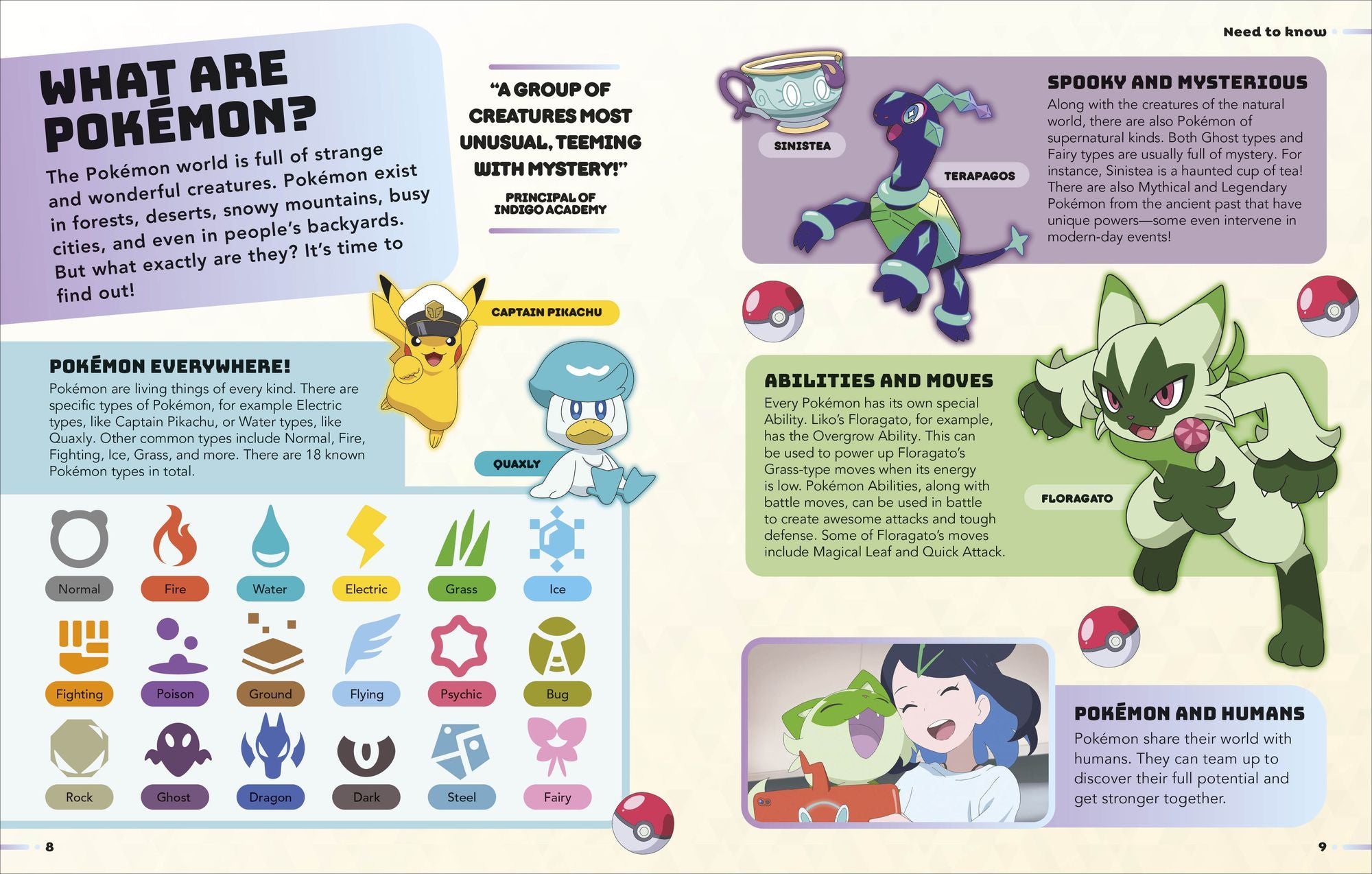 Pokémon Horizons Visual Companion