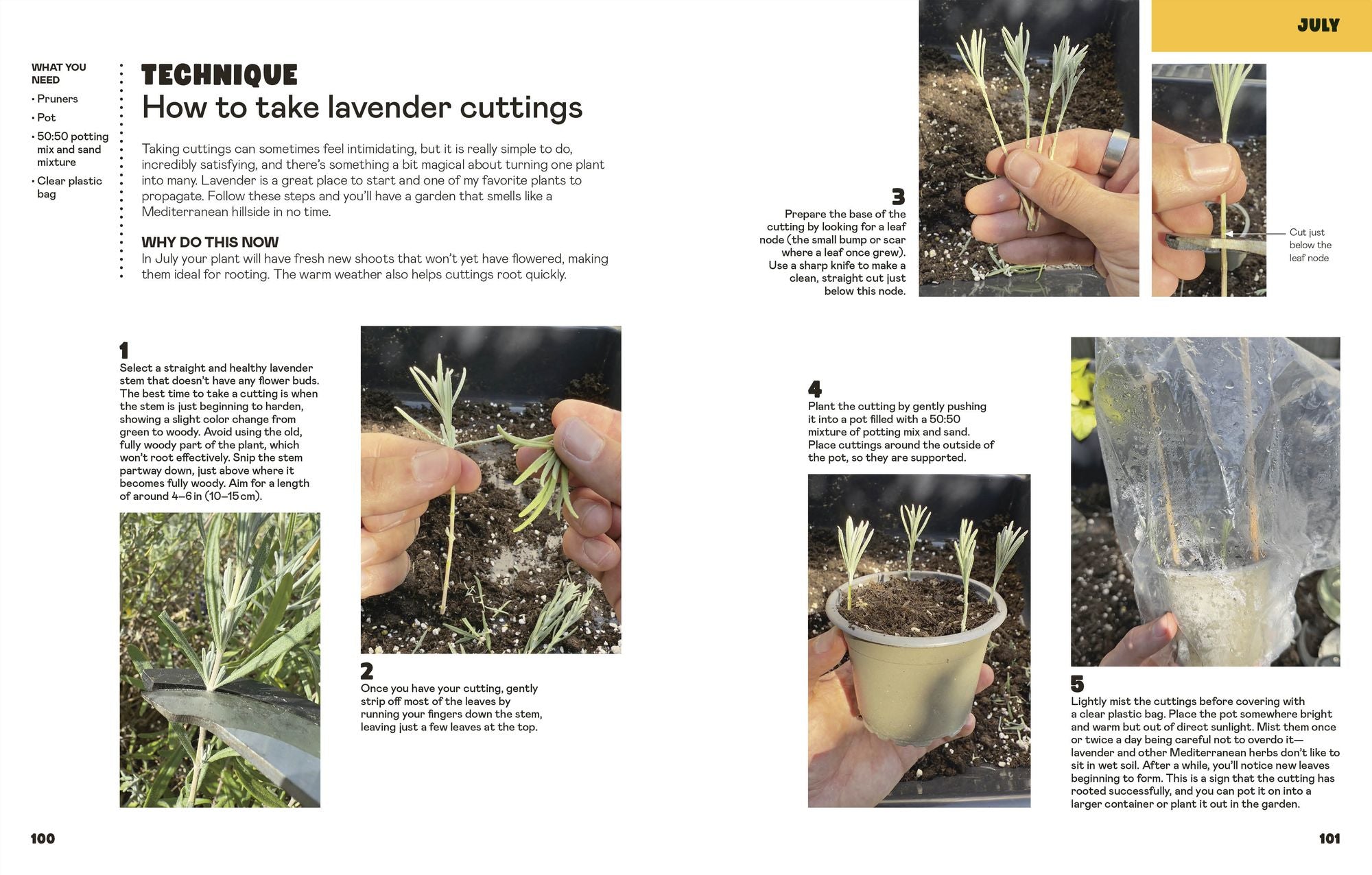 The Easy Garden: Month-by-Month Advice to Improve Your Outside Space