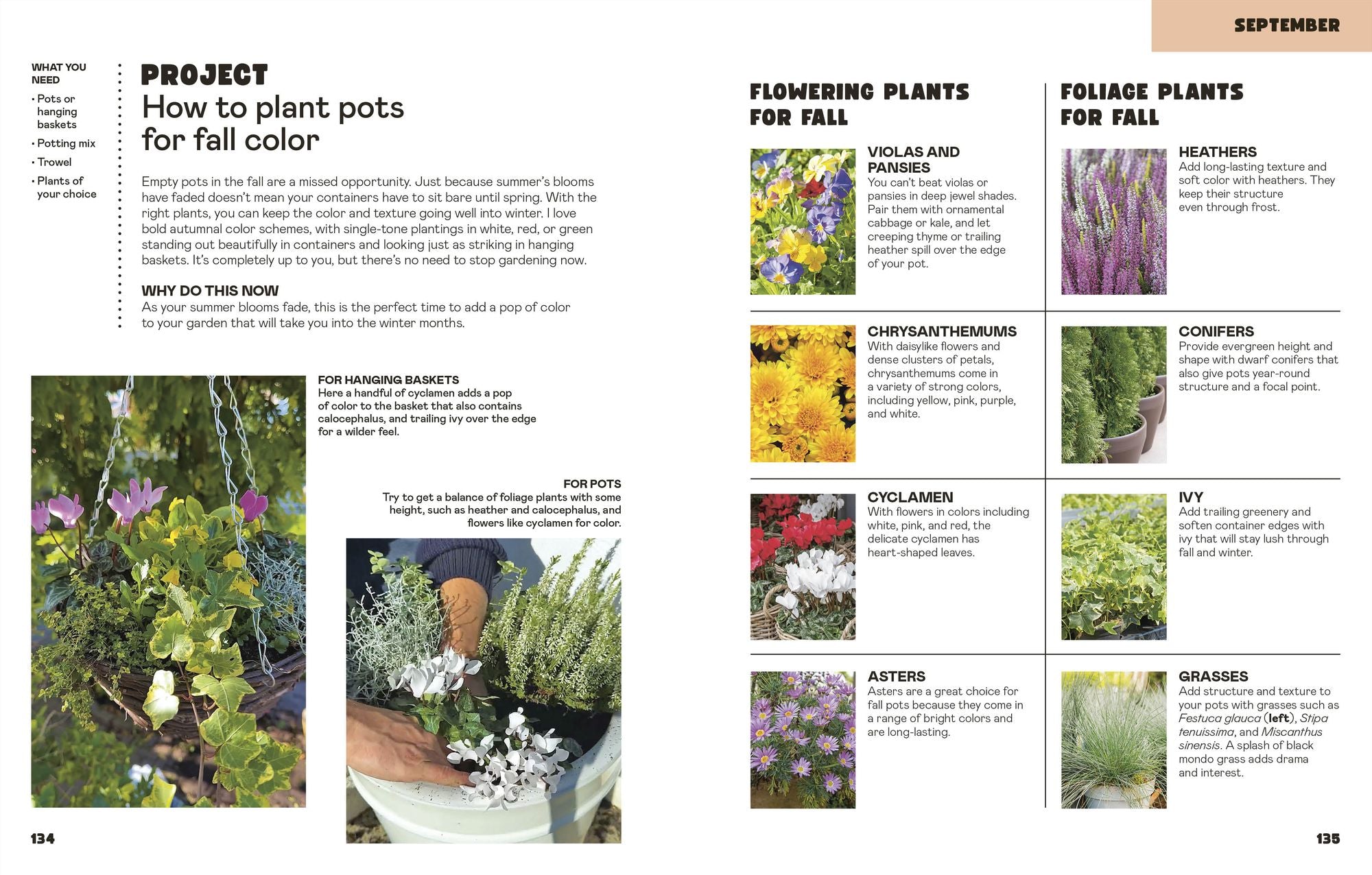 The Easy Garden: Month-by-Month Advice to Improve Your Outside Space