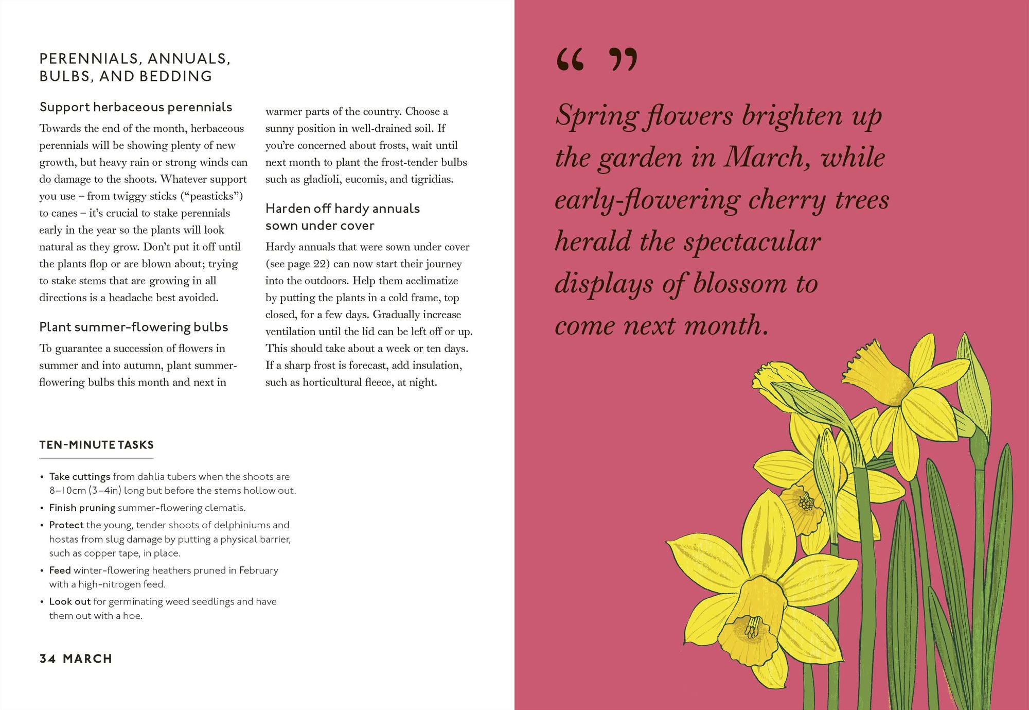 Your Gardening Year: What to Do When, Every Month of the Year