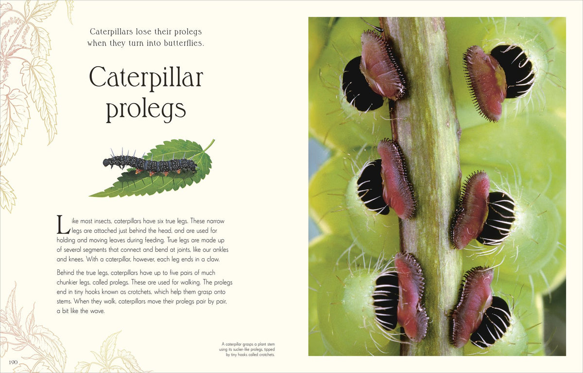 An Anthology of Micro Life: Discover the Stories of the Miniature World