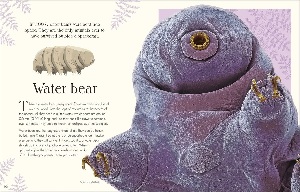 An Anthology of Micro Life: Discover the Stories of the Miniature World