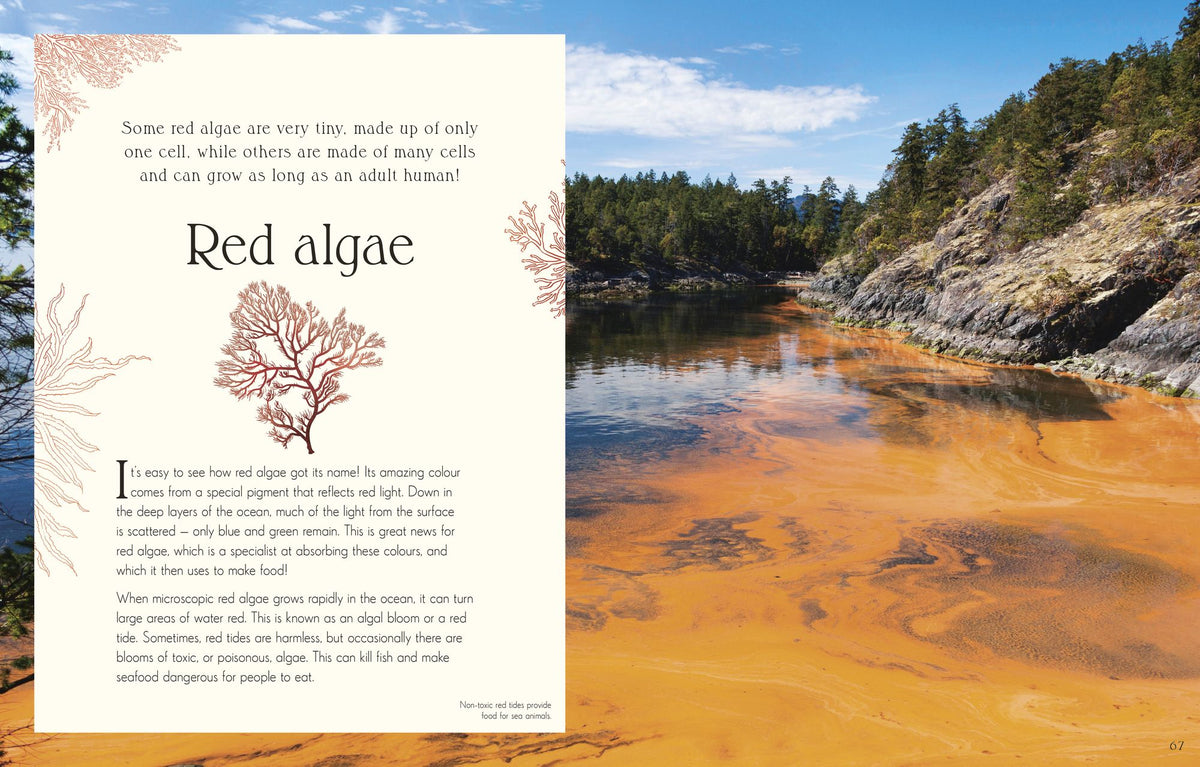 An Anthology of Micro Life: Discover the Stories of the Miniature World