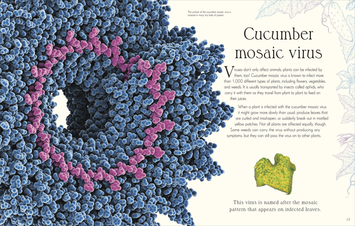 An Anthology of Micro Life: Discover the Stories of the Miniature World