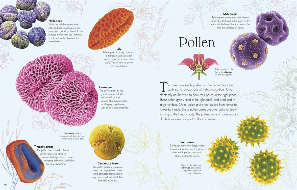 An Anthology of Micro Life: Discover the Stories of the Miniature World