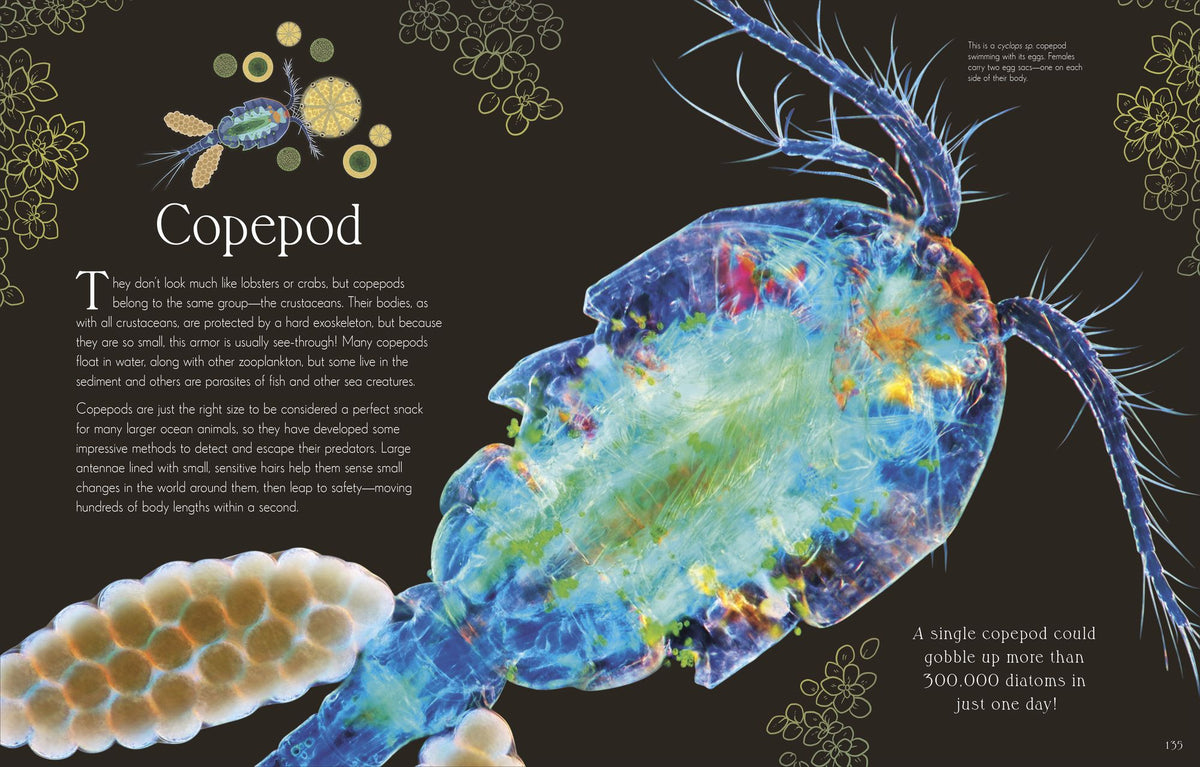 An Anthology of Micro Life: Discover the Stories of the Miniature World