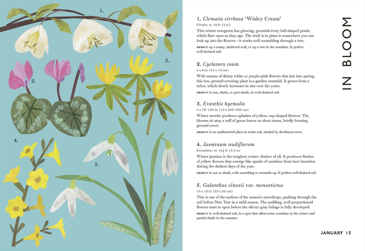 Your Flower Year: Blooms to Grow and Enjoy Every Month of the Year