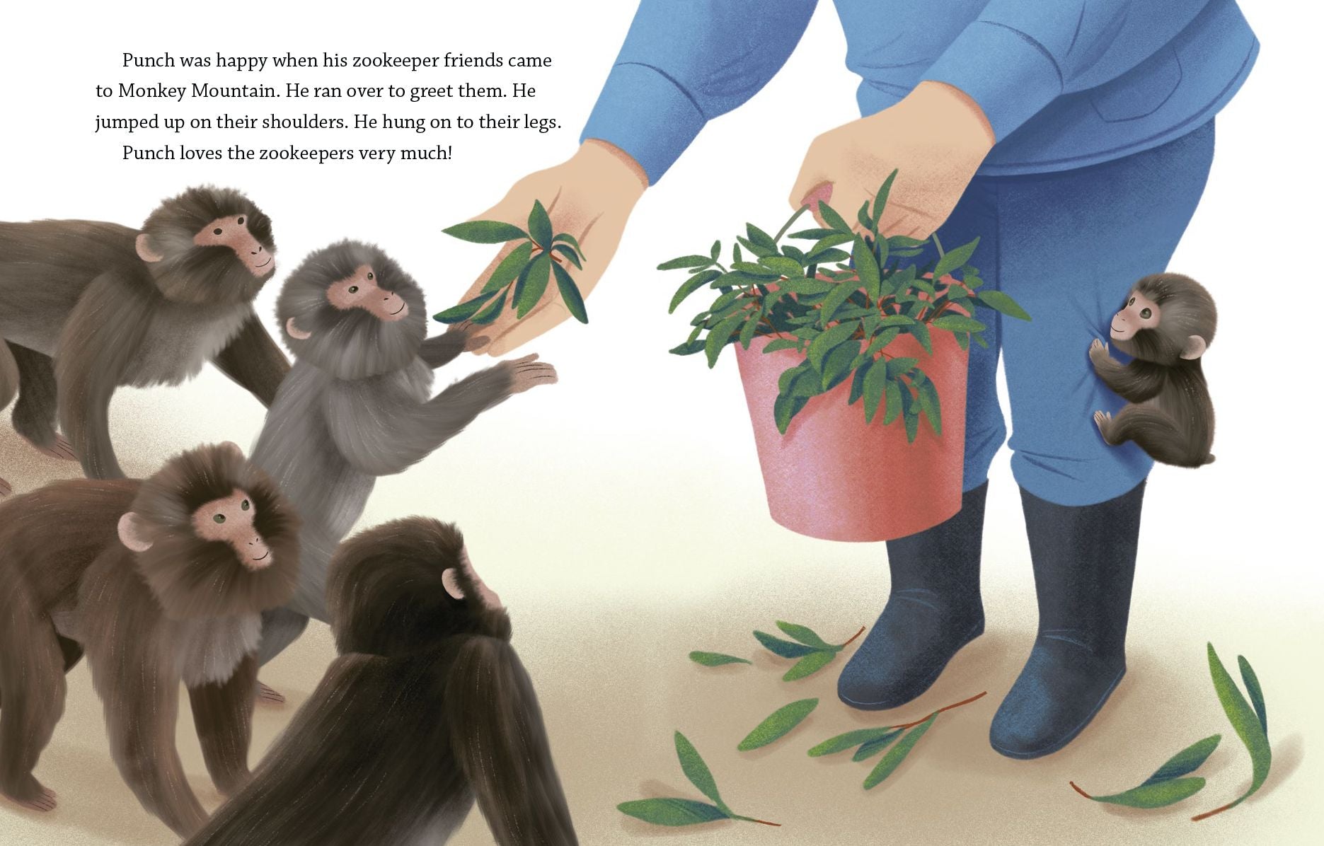 A Monkey Named Punch