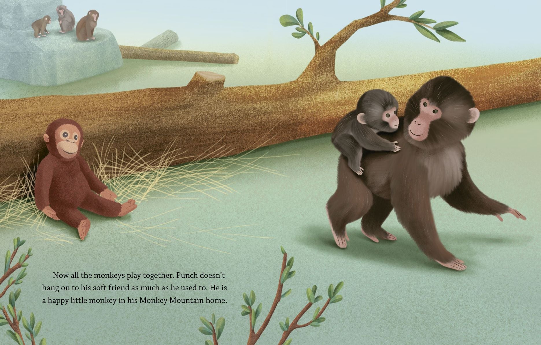A Monkey Named Punch