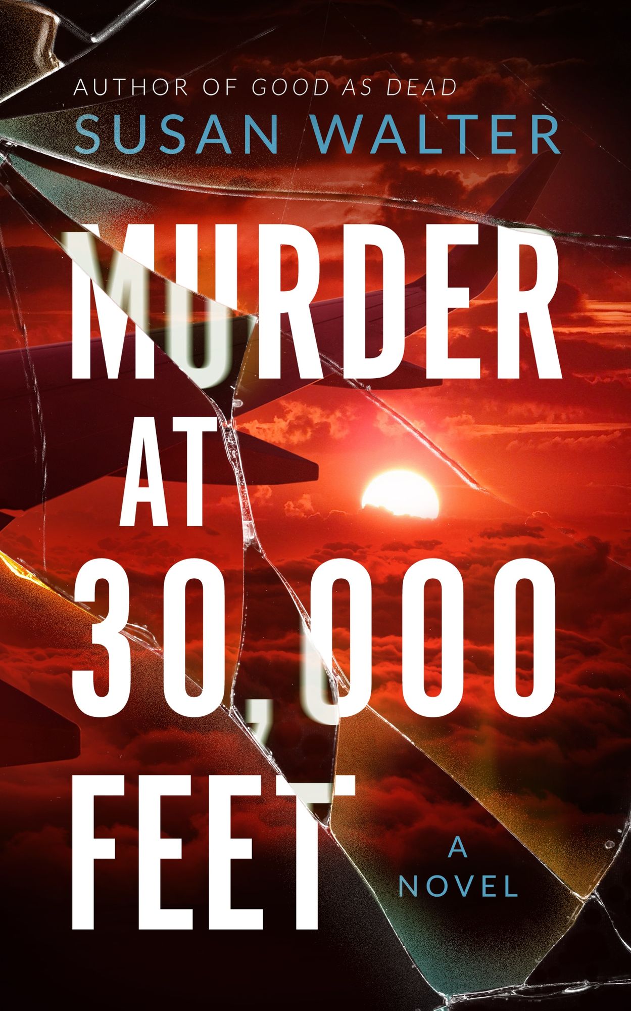 Murder at 30,000 Feet