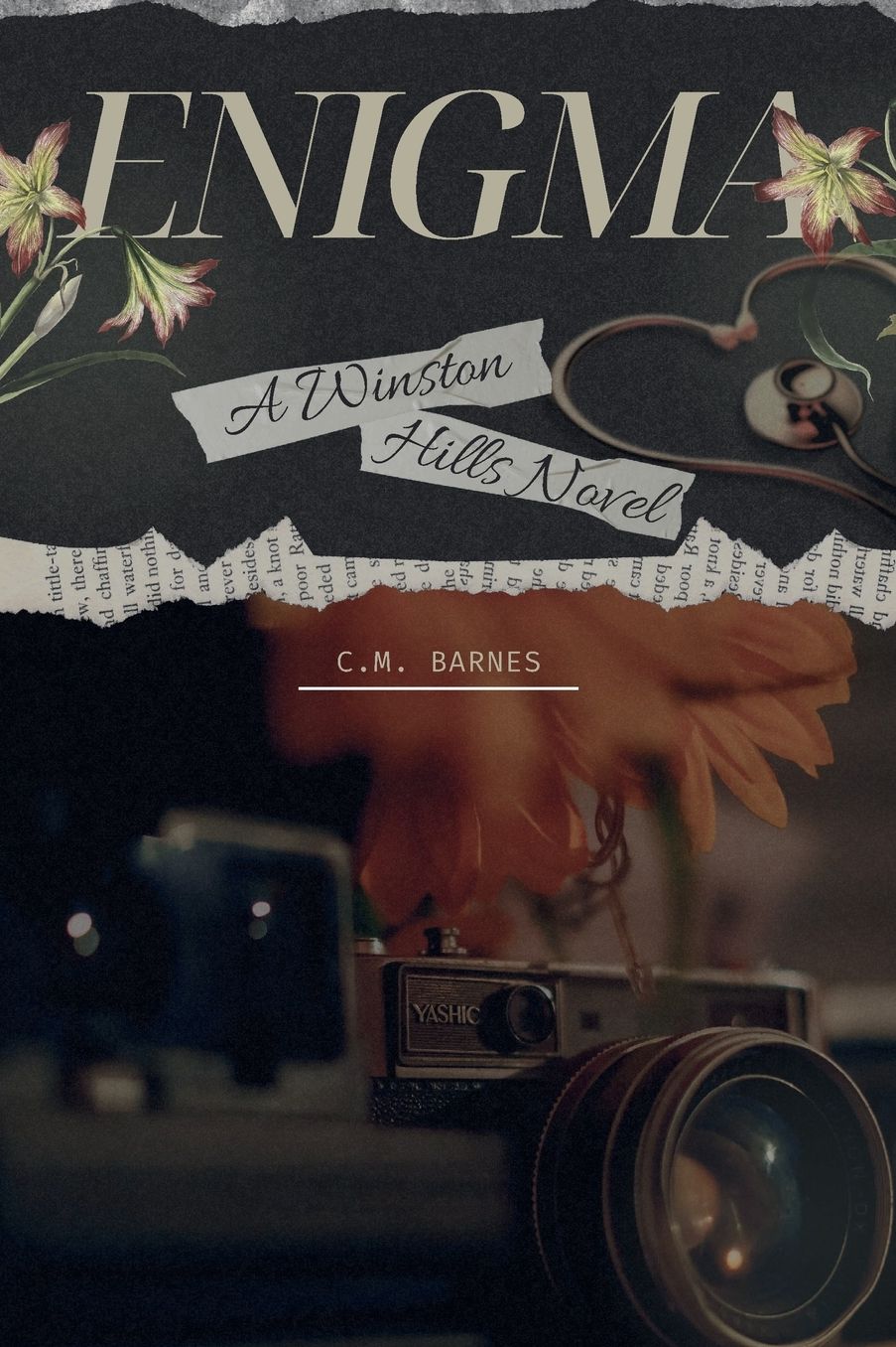 ENIGMA: A Winston Hills Novel