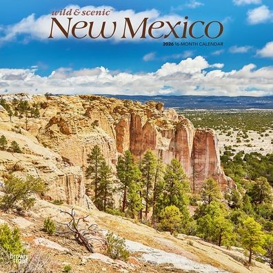 2026 New Mexico Wild & Scenic Square Flap