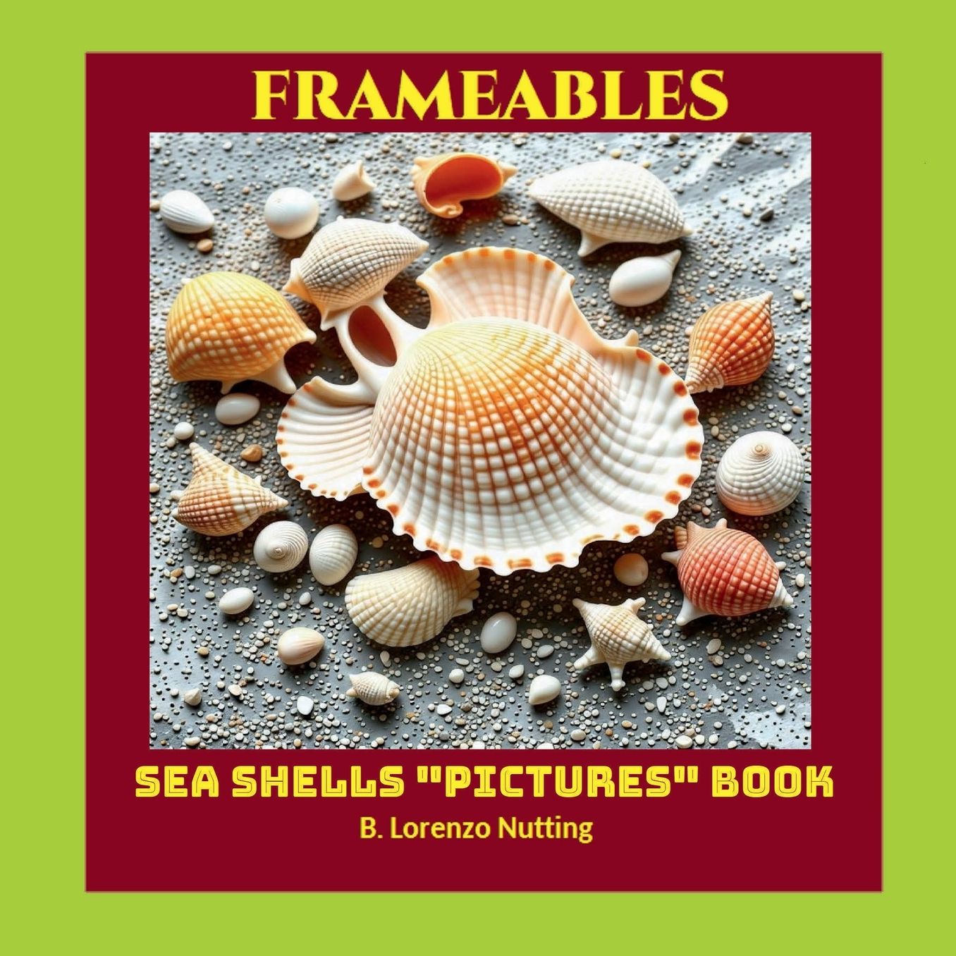 Sea Shells Pictures Book