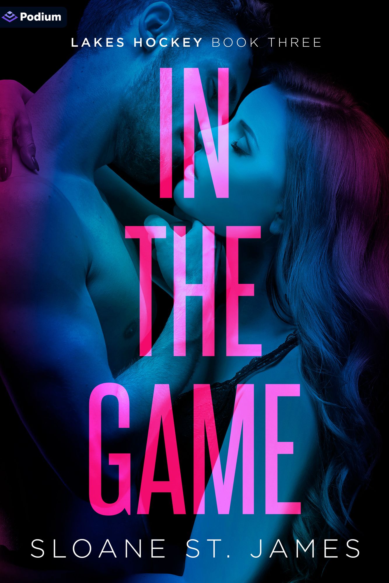 In the Game: A Hockey Romance