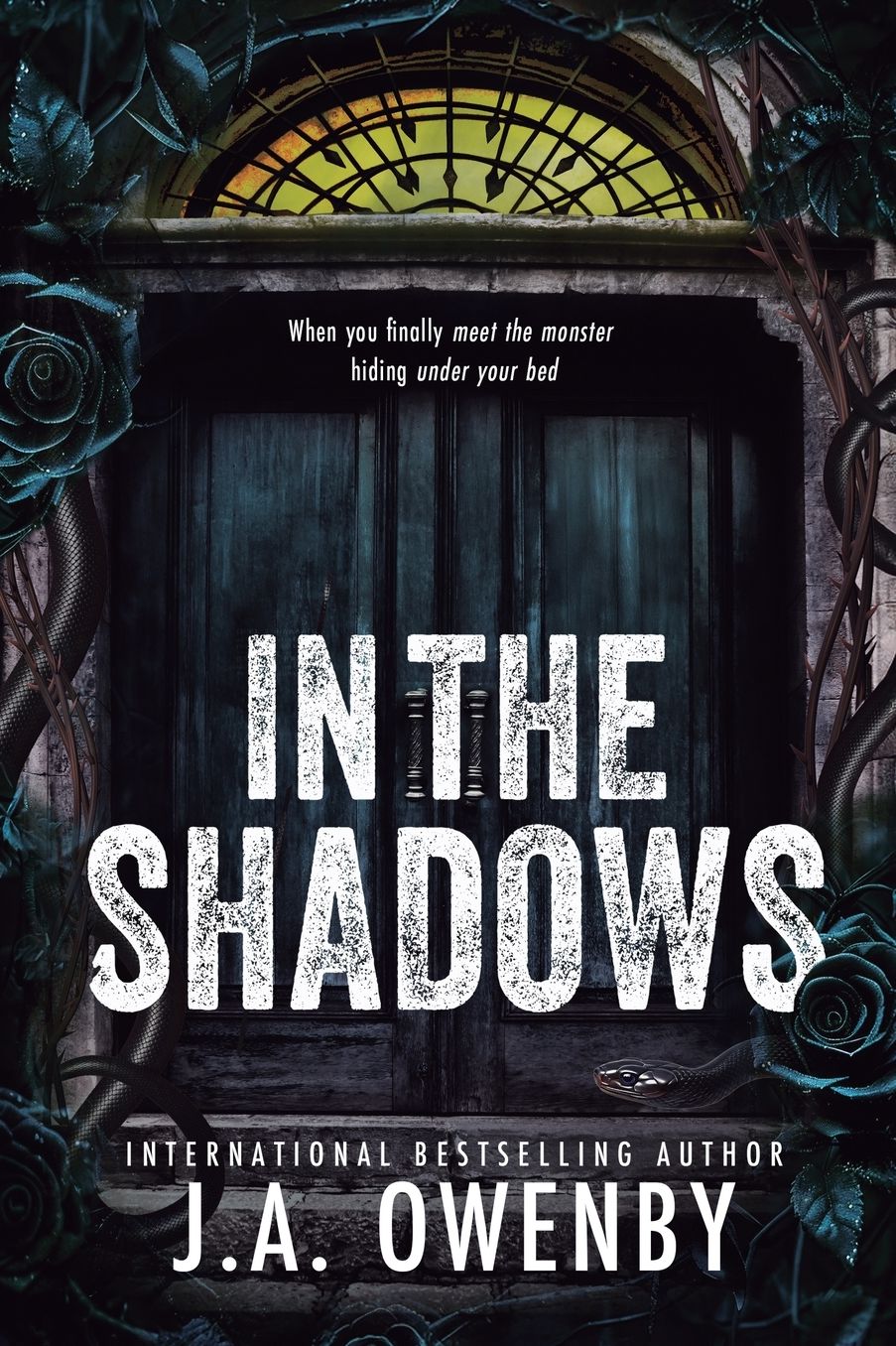 In the Shadows: A Dark Stalker Romance