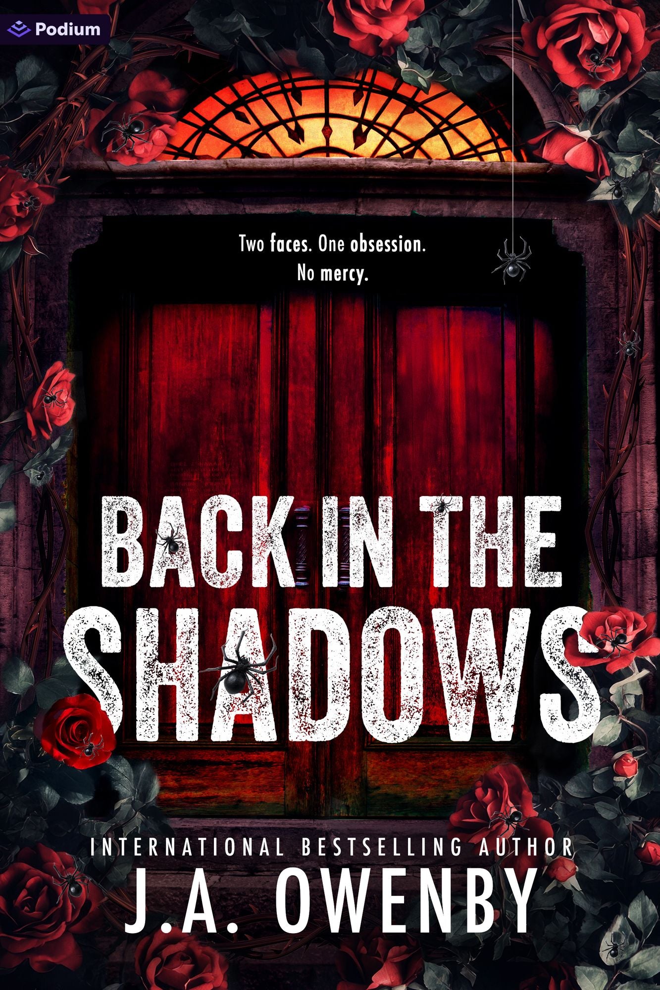 Back in the Shadows: A Dark Stalker Romance