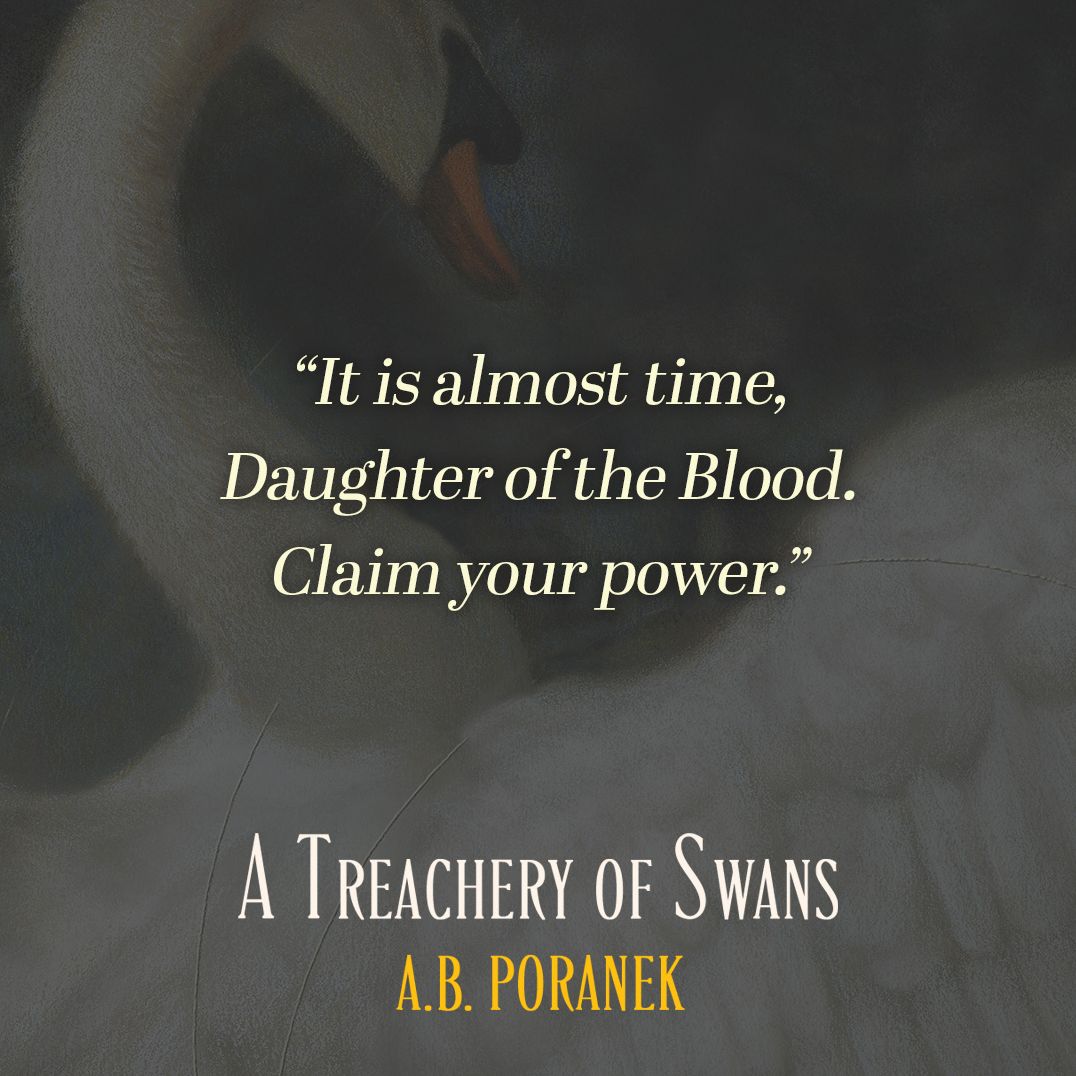 A Treachery of Swans (B&N Exclusive Edition)